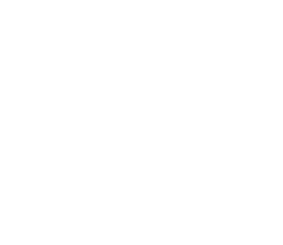 Alan's Logo - Footer